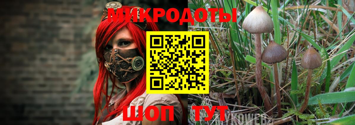 наркота  Вход с VPN  Ефремов  Галлюциногенные грибы Magic Shrooms 