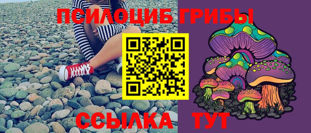 Псилоцибиновые грибы Cubensis Ефремов